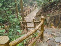 -南丹山森林王国