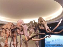 -大庆市博物馆