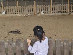 -秦皇岛野生动物园