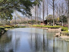 -河泥荡文化公园