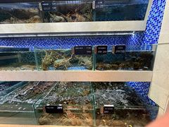 -欧记·龙城港(欣都店)
