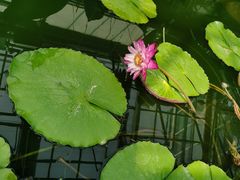 -国家植物园南园