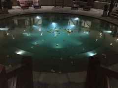 -苏州湾王焰温泉度假酒店