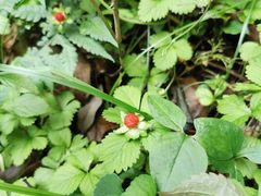 -宁波五龙潭景区