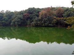 -杭州半山国家森林公园