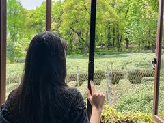 -野蔓果·山野菜(西湖景区·龙井茶田店)