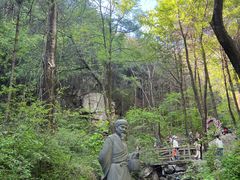 -王顺山国家森林公园