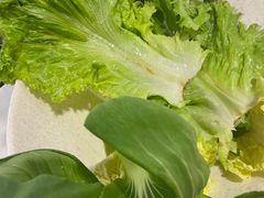 -食潮汕头鲜牛馆(望京保利店)