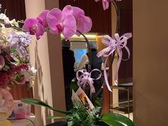 -泰尚臻Siam Essence