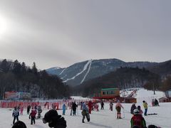 -亚布力新体委滑雪场