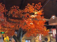 -湘域·少東家(平沙店)