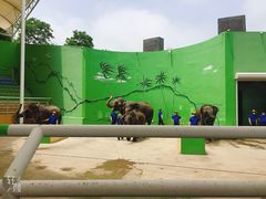 -大连森林动物园