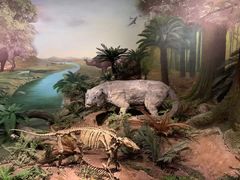 -湖南省地质博物馆