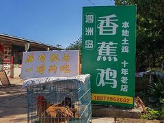 -涠洲岛香蕉鸡