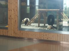 -西安秦岭野生动物园