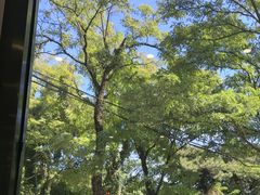 -丽泽山庄·生态怀柔菜·虹鳟鱼(红螺寺店)