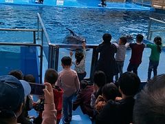 -石林冰雪海洋世界