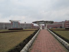 操场-东北师范大学(净月大街校区)