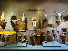 -大庆市博物馆