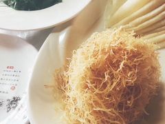 -丁老爷子苏香圆