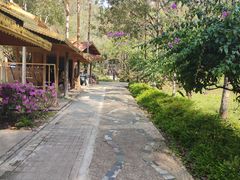 -莫里热带雨林景区