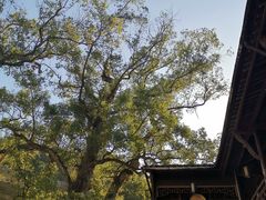 -上坦村