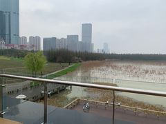 -艾溪湖湿地公园