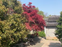 -惠山古镇·寄畅园