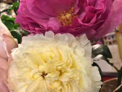 -静岸花卉园艺(三星坊店)