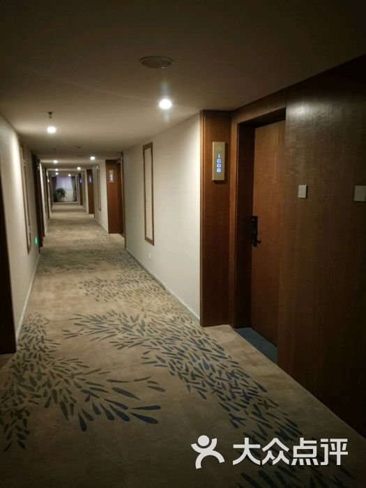 南枫大酒店图片 - 第1张