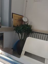 -瑶芳清颜草本祛痘