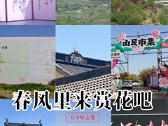 -四明山国家森林公园