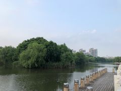 -新江湾城公园