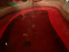 -中家鑫园温泉酒店鑫悦汤泉