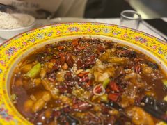 麻辣馋嘴蛙-福来居烤鸭店(天坛二店)