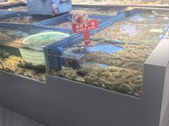 -渔港甄宴·海鲜·地标烟台菜(金沙滩店)