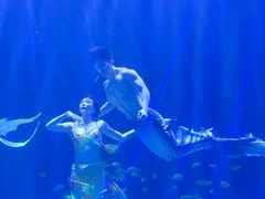 -华夏文旅海洋公园