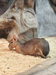 -Zoolung Zoolung动物主题公园(海信广场店)