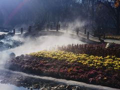 -黑龙江中医药大学附属第一医院