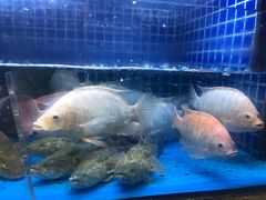 -徐记海鲜(梅溪新天地店)
