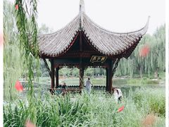 -陶然亭公园