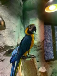 -Zoolung Zoolung动物主题公园(海信广场店)