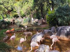 -昆明动物园