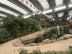 -御龙温泉度假村