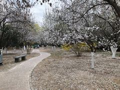 -首都师范大学科德学院