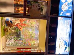 -苗小坛酸汤鱼(酒仙桥店)