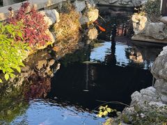 -金海华·华宴江南(斜塘店)