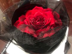 -YC工作室蛋糕定制