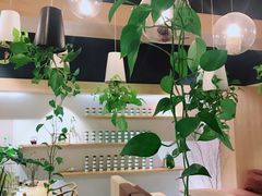 -柴务处·柴犬主题狗咖