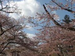 -醍醐寺